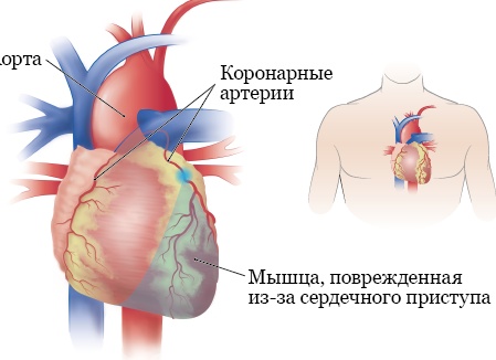 Сегодня с вами будем учиться рисовать. Нет, не шедевры.</p>
<p>А то, от чего самой себе станет радостно