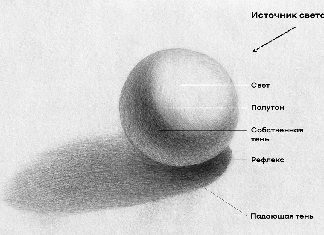 С ЧЕГО НАЧАТЬ УЧИТЬСЯ РИСОВАТЬ?