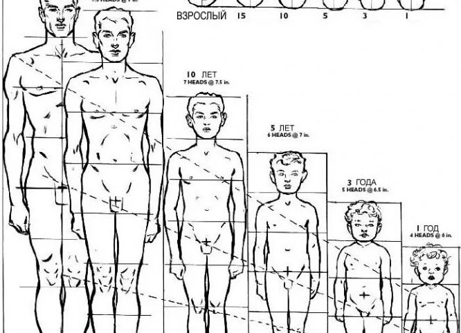 Как научиться рисовать взрослому человеку