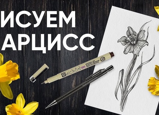 Пошаговый урок. Рисуем цветы. Нарцисс