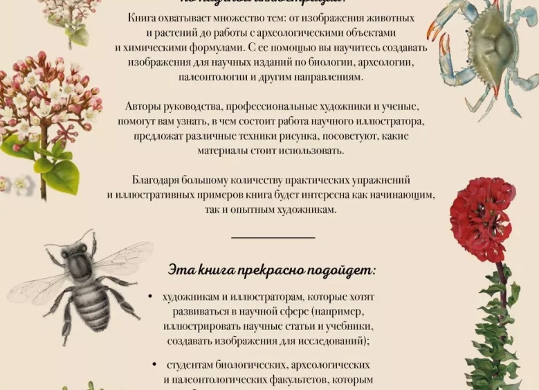 Какие материалы помогают стать художником:))