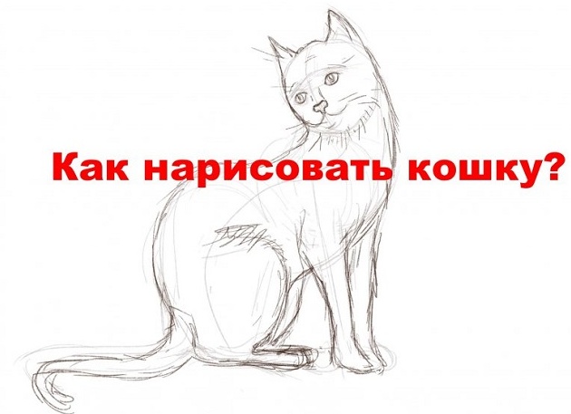 Можно ли научиться рисовать самостоятельно и как это сделать
