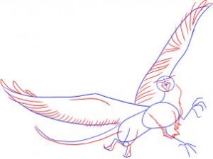 how-to-draw-a-griffin-step-2_1_000000005646_3