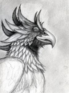 how-to-draw-a-gryphon-head-step-11_1_000000069809_3