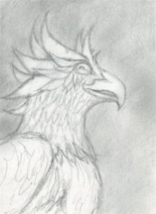 how-to-draw-a-gryphon-head-step-5_1_000000069797_3