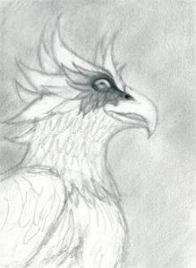 how-to-draw-a-gryphon-head-step-6_1_000000069799_3