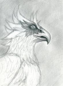 how-to-draw-a-gryphon-head-step-7_1_000000069801_3