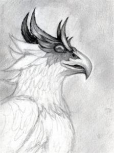 how-to-draw-a-gryphon-head-step-8_1_000000069803_3
