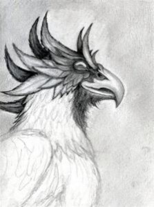 how-to-draw-a-gryphon-head-step-9_1_000000069805_3