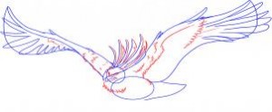 how-to-draw-a-phoenix-bird-of-flames-step-3_1_000000008485_3