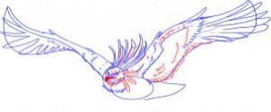 how-to-draw-a-phoenix-bird-of-flames-step-4_1_000000008486_3