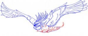 how-to-draw-a-phoenix-bird-of-flames-step-5_1_000000008487_3