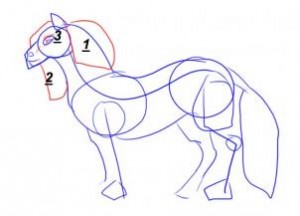 how-to-draw-a-unicorn-step-8_1_000000000202_3