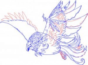 how-to-draw-a-water-phoenix-step-5_1_000000002270_3