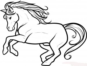 how-to-draw-a-white-stallion-white-stallion-step-11_1_000000086675_5