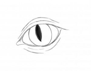 how-to-draw-and-color-dragon-eyes-step-4_1_000000158978_3