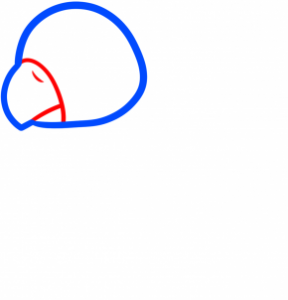how-to-draw-a-chibi-turkey-for-kids-step-2_1_000000176542_3