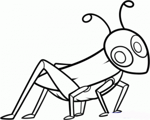 how-to-draw-a-grasshopper-for-kids-step-6_1_000000142759_5