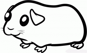 how-to-draw-a-guinea-pig-for-kids-step-5_1_000000100673_5