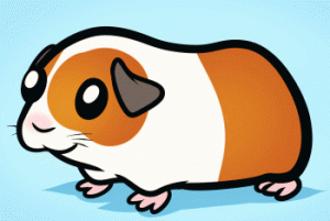 how-to-draw-a-guinea-pig-for-kids_1_000000012080_3