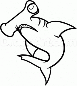 how-to-draw-a-hammerhead-for-kids-step-6_1_000000154141_5