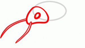 how-to-draw-a-lobster-for-kids-step-2_1_000000098287_3