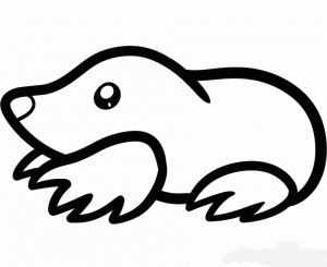 how-to-draw-a-mole-for-kids-step-5_1_000000101719_5