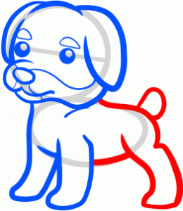 how-to-draw-a-rottweiler-for-kids-step-5_1_000000114765_3