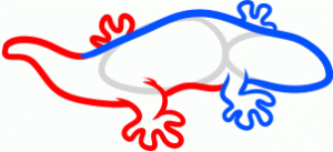 how-to-draw-a-salamander-for-kids-step-3_1_000000134391_3