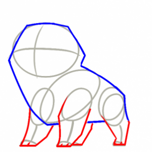 how-to-draw-a-shiba-inu-step-4_1_000000179134_3