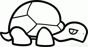 how-to-draw-a-tortoise-for-kids-step-6_1_000000098529_5