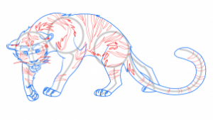 how-to-draw-a-white-tiger-step-5_1_000000159335_3