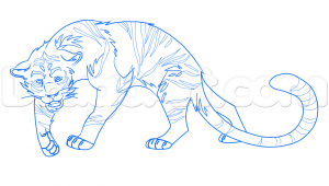 how-to-draw-a-white-tiger-step-6_1_000000159336_5