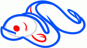 how-to-draw-an-eel-for-kids-step-4_1_000000102497_3