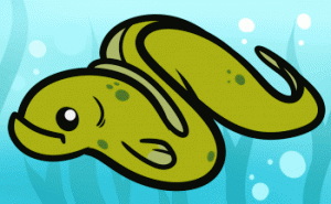 how-to-draw-an-eel-for-kids_1_000000012270_3