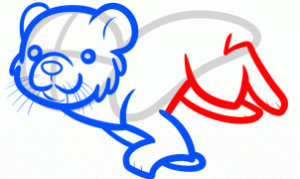 how-to-draw-an-otter-swimming-for-kids-step-5_1_000000114793_3