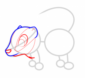 how-to-draw-a-badger-for-kids-step-3_1_000000065817_3