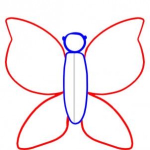 how-to-draw-a-butterfly-for-kids-step-3_1_000000045543_3