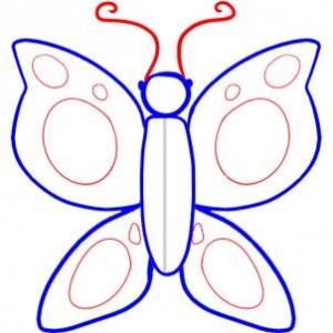 how-to-draw-a-butterfly-for-kids-step-4_1_000000045545_3