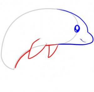 how-to-draw-a-dolphin-for-kids-step-4_1_000000045647_3