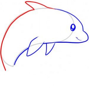 how-to-draw-a-dolphin-for-kids-step-5_1_000000045649_3