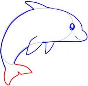 how-to-draw-a-dolphin-for-kids-step-6_1_000000045651_3