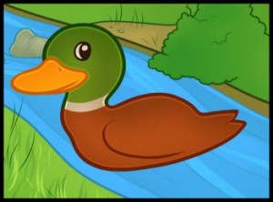 how-to-draw-a-duck-for-kids_1_000000008199_3
