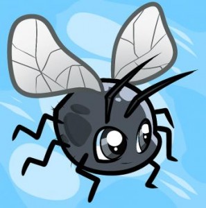 how-to-draw-a-fly-for-kids_1_000000009477_3
