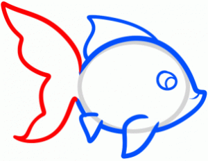 how-to-draw-a-goldfish-for-kids-step-4_1_000000096415_3