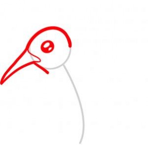 how-to-draw-a-hummingbird-for-kids-step-2_1_000000075097_3