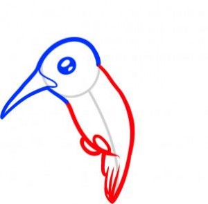 how-to-draw-a-hummingbird-for-kids-step-3_1_000000075099_3