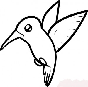how-to-draw-a-hummingbird-for-kids-step-5_1_000000075103_5