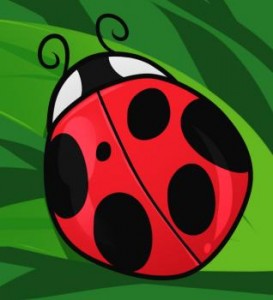 how-to-draw-a-ladybug-for-kids_1_000000008924_3