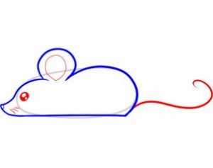 how-to-draw-a-mouse-for-kids-step-3_1_000000053265_3